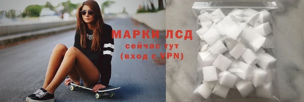 стафф Богданович
