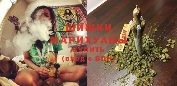 стафф Богданович