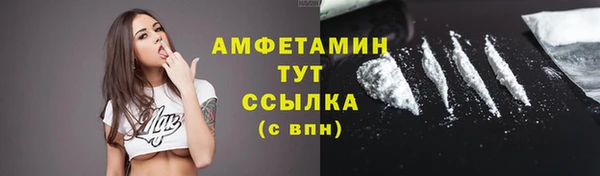 стафф Богданович