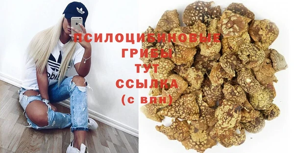 герыч Богородск