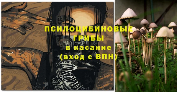стафф Богданович