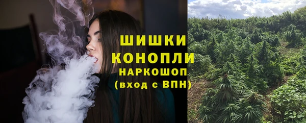 стафф Богданович