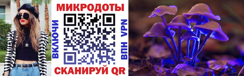 Галлюциногенные грибы MAGIC MUSHROOMS Ярославль