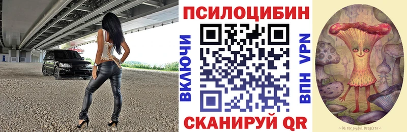 Псилоцибиновые грибы Psilocybine cubensis  продажа наркотиков  Ярославль 